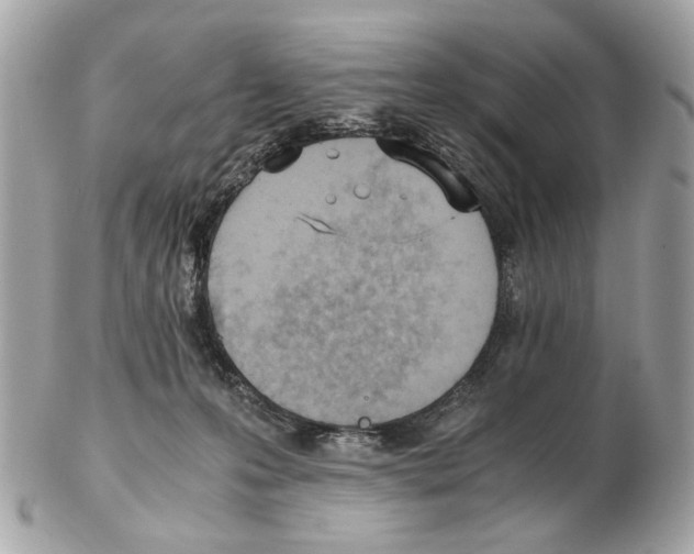 X0000102390223200808291430