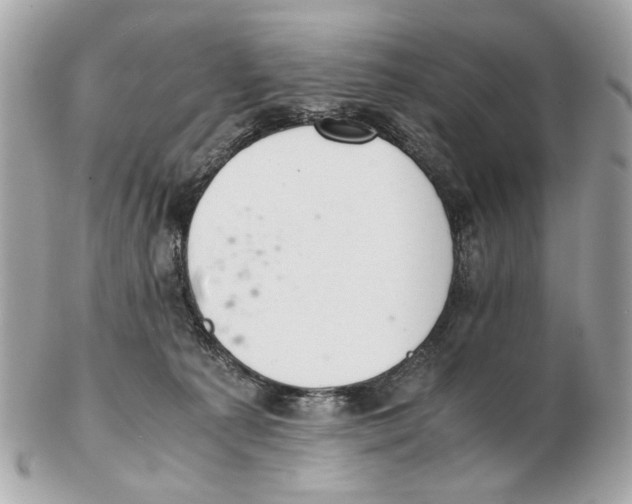 X0000102390225200808291430