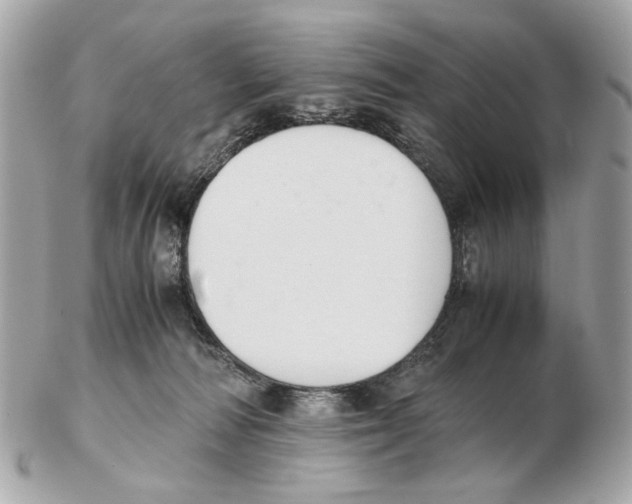 X0000102390226200808291430