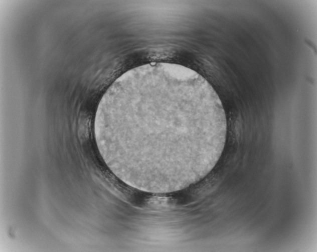 X0000102390227200808291430