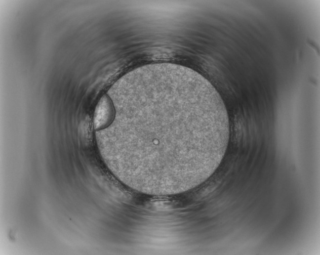 X0000102390228200808291430