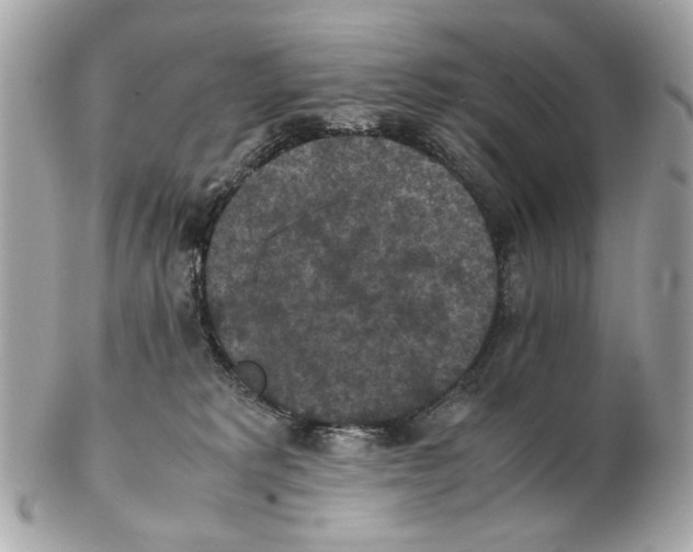 X0000102390229200808291430
