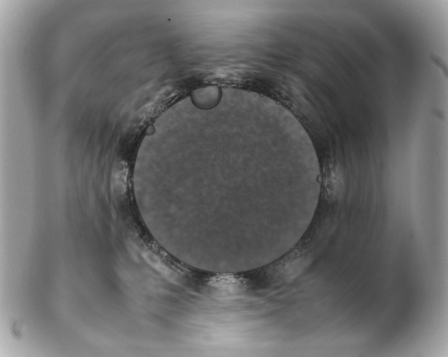 X0000102390231200808291430