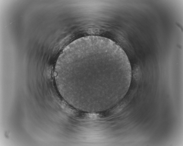 X0000102390233200808291430