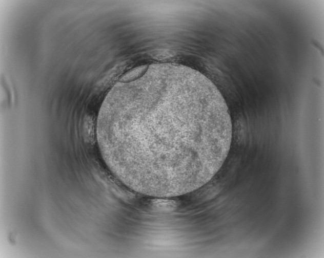 X0000102390234200808291430