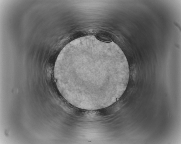 X0000102390235200808291430