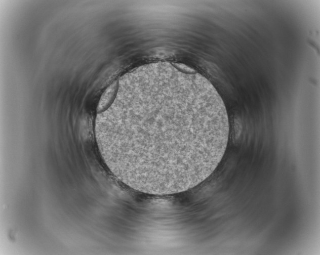 X0000102390236200808291430