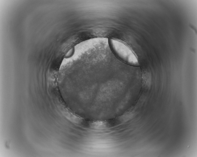 X0000102390237200808291430