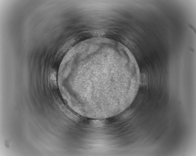 X0000102390238200808291430