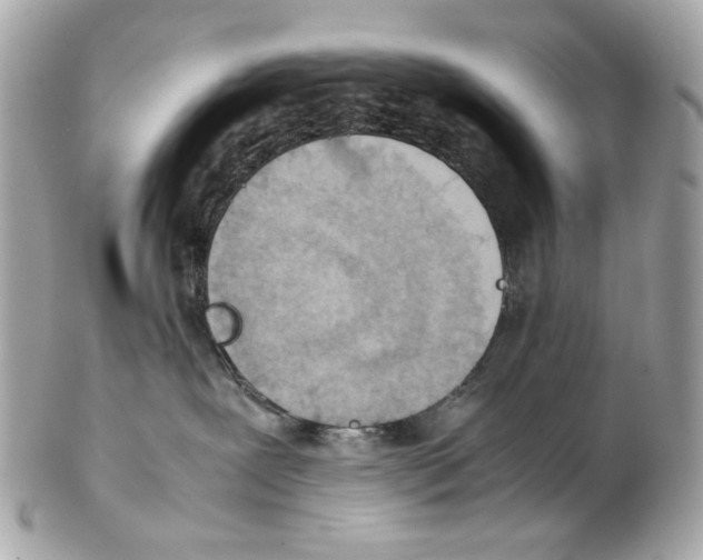 X0000102390239200808291430