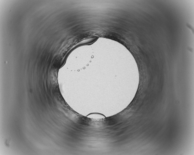 X0000102390240200808291430