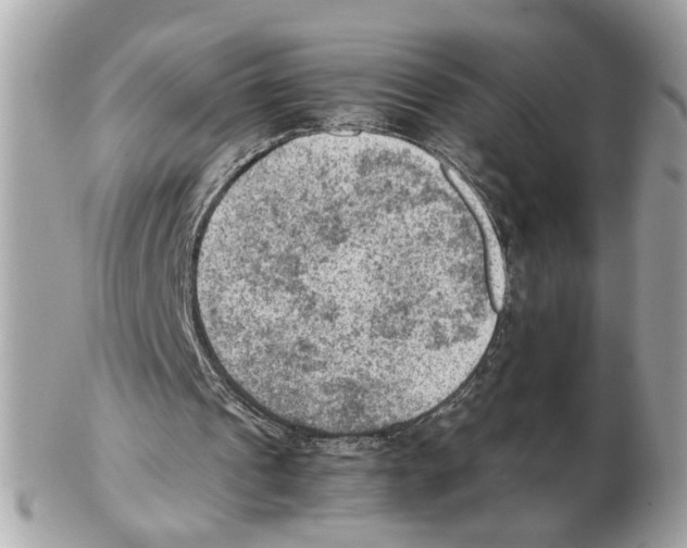 X0000102390241200808291429