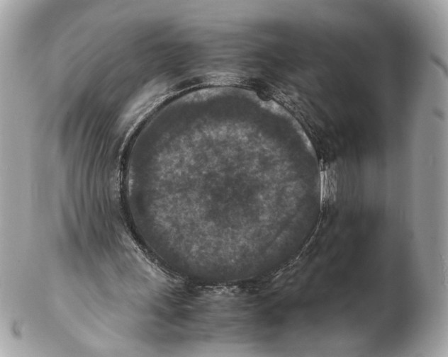 X0000102390243200808291429
