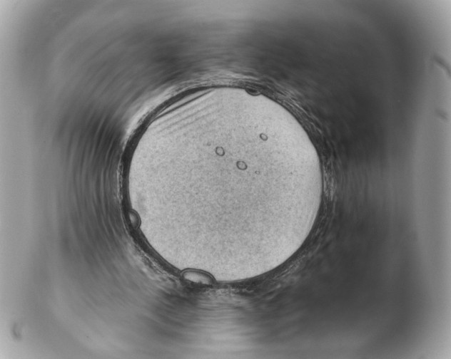 X0000102390244200808291429