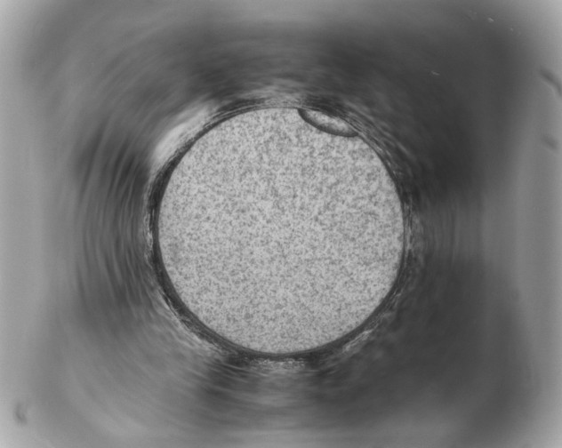X0000102390245200808291429