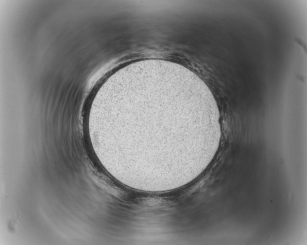 X0000102390246200808291429