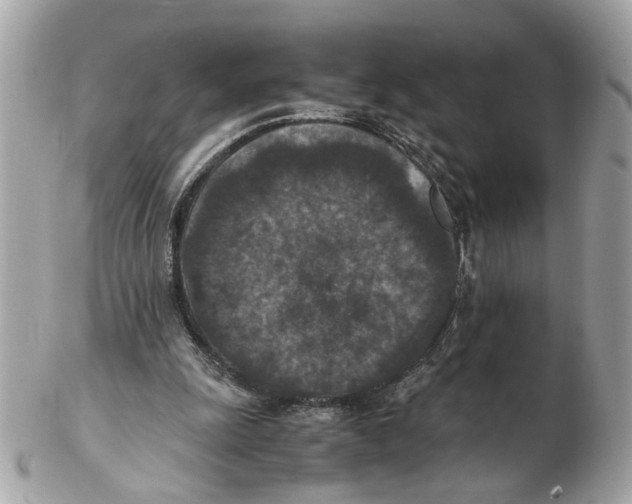 X0000102390247200808291429