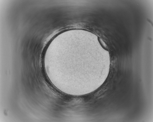 X0000102390248200808291429