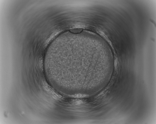 X0000102390249200808291429