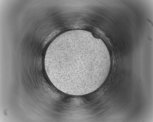 X0000102390250200808291429
