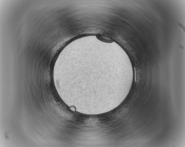 X0000102390252200808291429