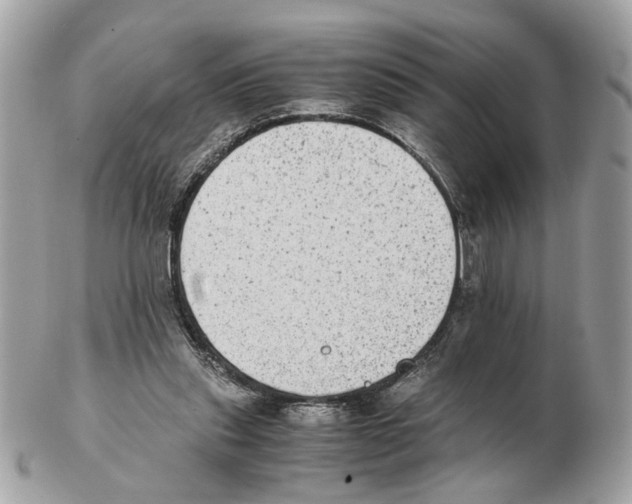 X0000102390253200808291429
