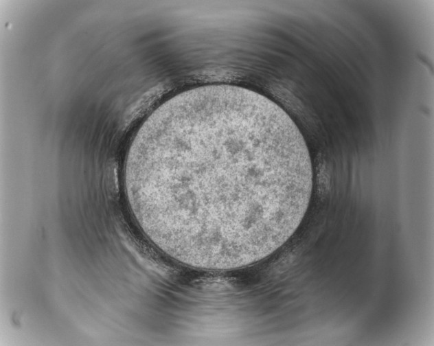 X0000102390254200808291429