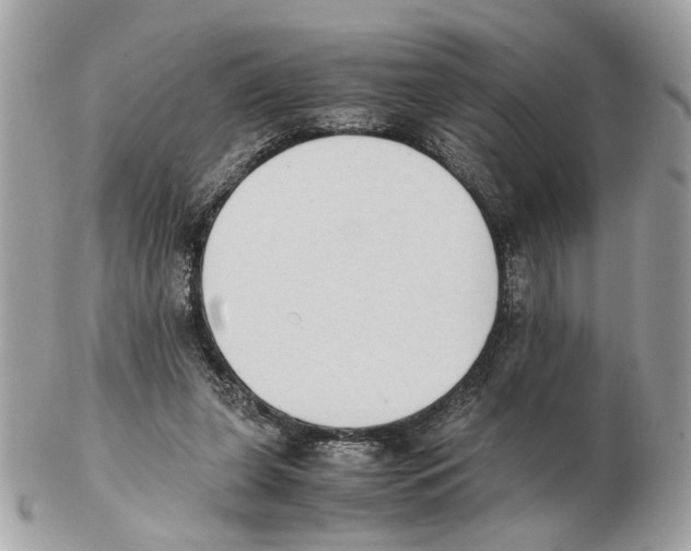 X0000102390255200808291429