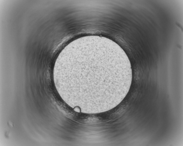 X0000102390256200808291429