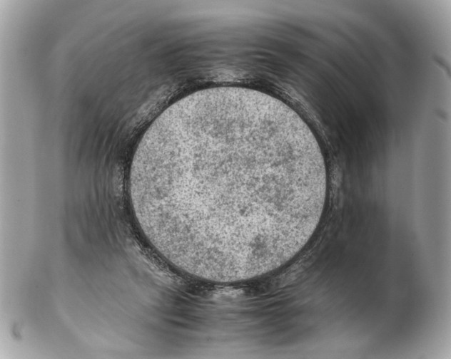 X0000102390257200808291430