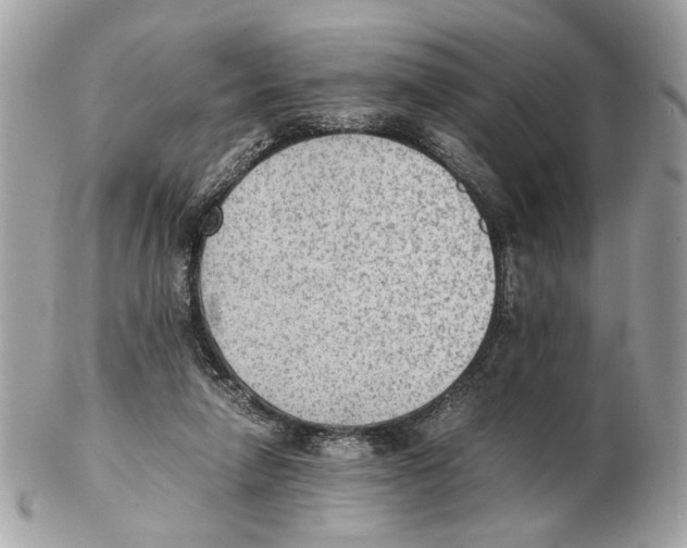 X0000102390258200808291430