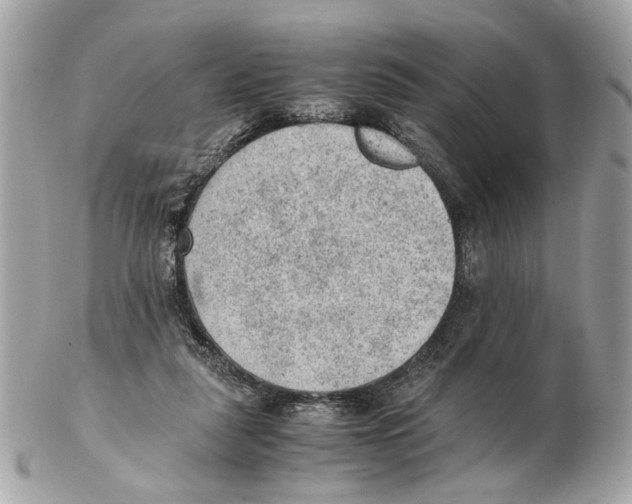 X0000102390259200808291430