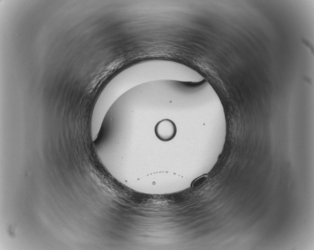 X0000102390260200808291430