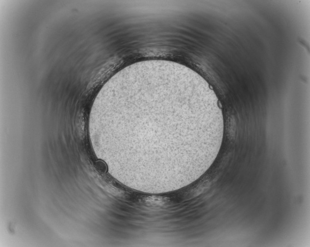 X0000102390261200808291430