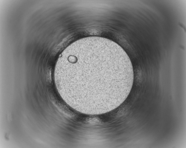 X0000102390262200808291430