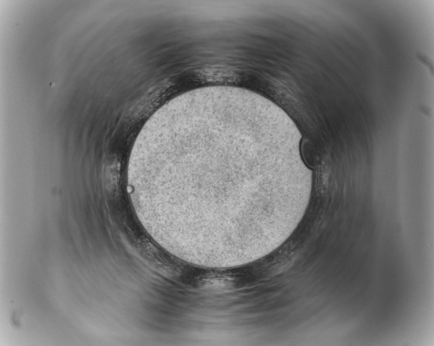 X0000102390263200808291430