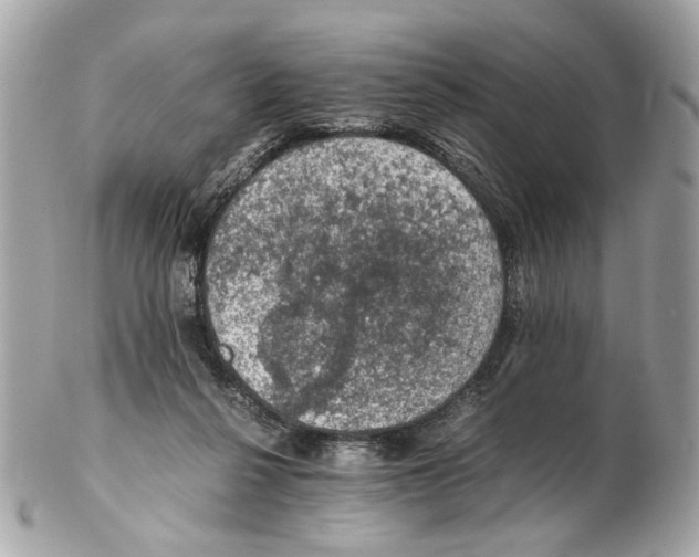 X0000102390264200808291430