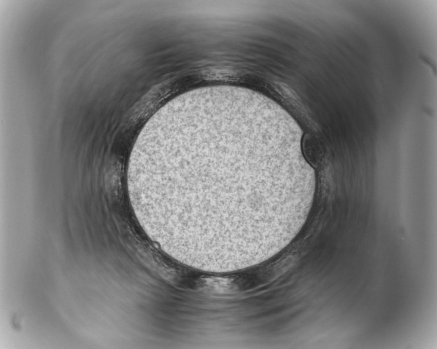 X0000102390265200808291430