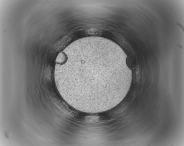 X0000102390266200808291430