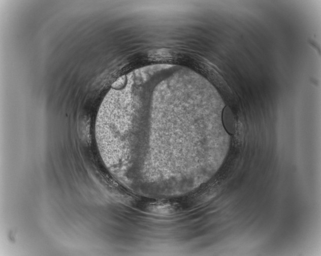 X0000102390267200808291430