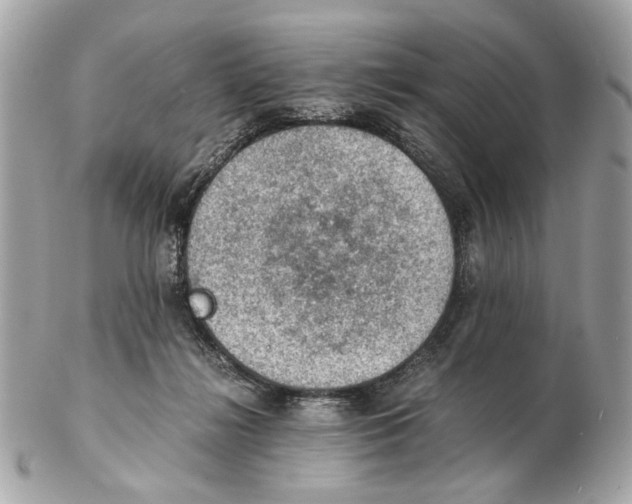 X0000102390268200808291430
