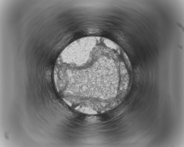X0000102390269200808291430