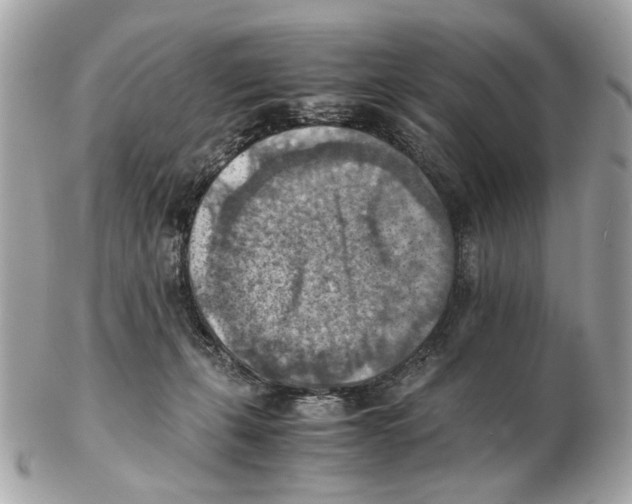 X0000102390271200808291430