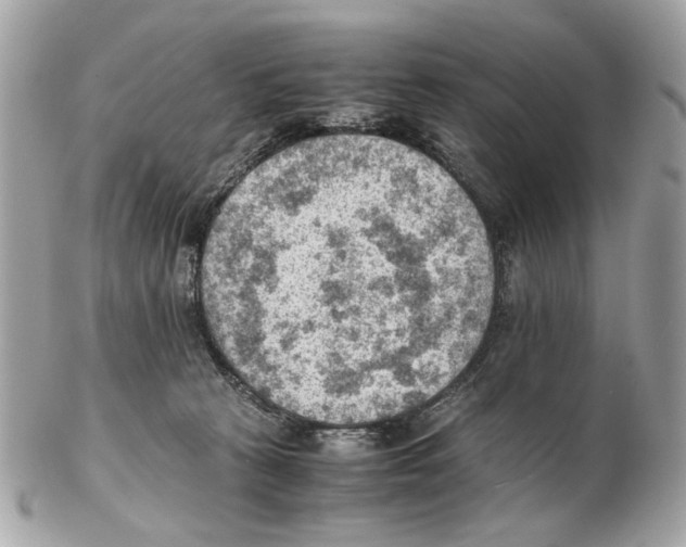 X0000102390273200808291430