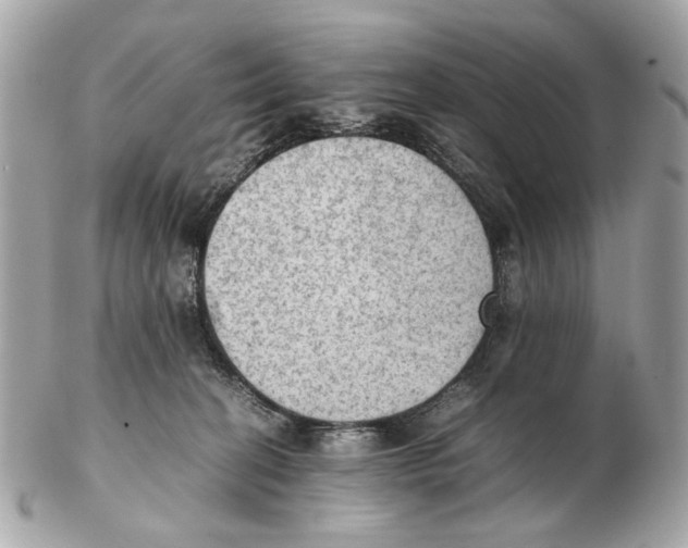X0000102390274200808291430