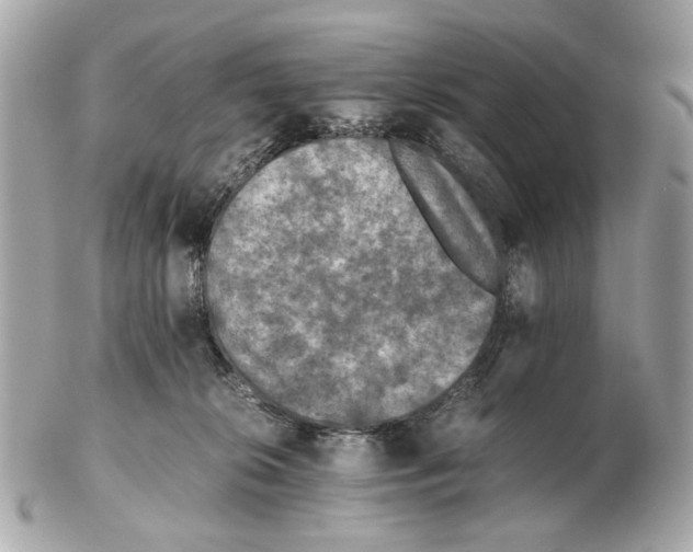 X0000102390276200808291430