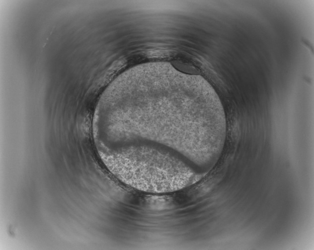 X0000102390277200808291430