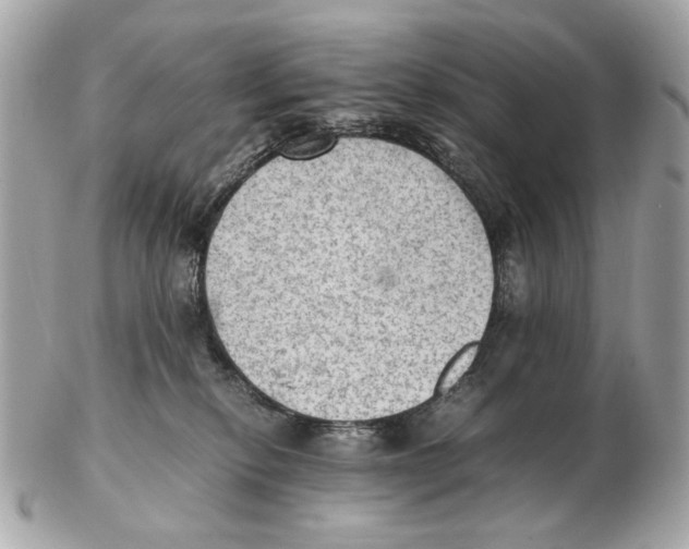 X0000102390278200808291430