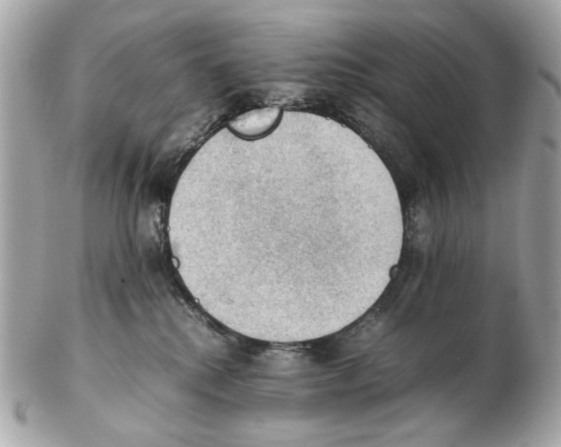 X0000102390280200808291430
