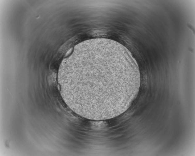 X0000102390281200808291430